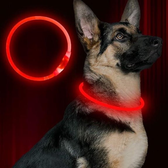 LED Dog Collar: USB Rechargeable Light for Night Safety