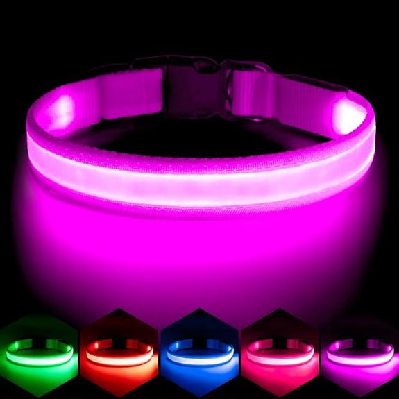 VIZPET LED Dog Collar with USB Rechargeable Light