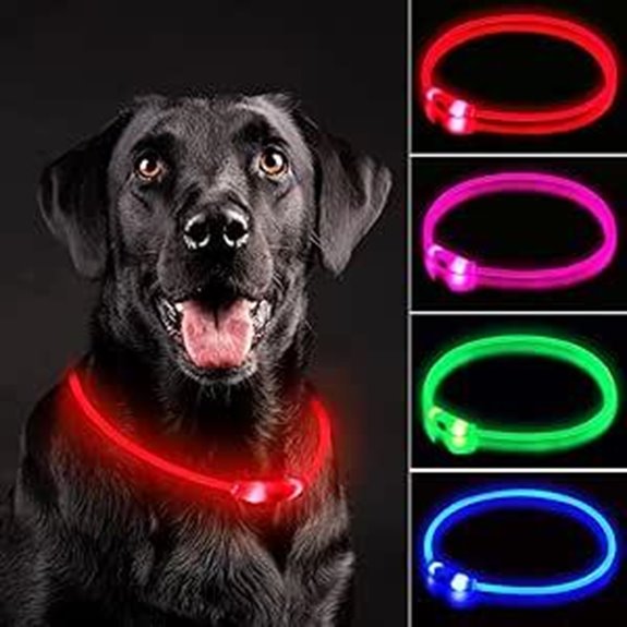 Rechargeable LED Dog Collar with IP67 Waterproof Light